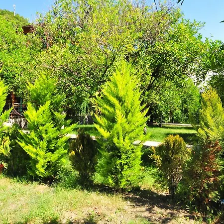 Ikiz Alloggio in famiglia